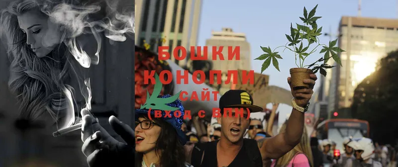 Конопля SATIVA & INDICA  Шагонар 